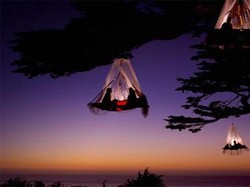 Seru! Kemah Menantang di Atas Pohon