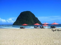 Serunya Adu Surfing Internasional di Banyuwangi