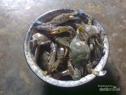 Serunya Berburu Kepiting Laut di Pulau Bangka