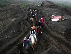 Serunya Berkuda ke Puncak Gunung Bromo