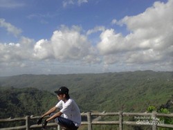 Serunya Bersepeda dan Memetik Buah di Bantul