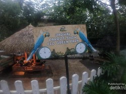 Serunya Berwisata Edukasi di Peternakan Eco Green Park