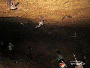 Serunya Caving di Gua Gudawang Bogor