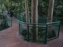 Serunya Forest Walk di Babakan Siliwangi Bandung