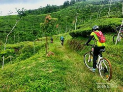 Serunya Gowes Sepeda di Trek Roller Coaster