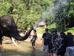 Serunya Memandikan Gajah di Langkat, Sumatera Utara