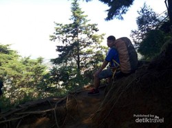 Serunya Mendaki Gunung Prau di Kawasan Dieng