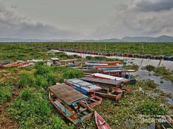 Serunya Mengarungi Lautan Eceng Gondok di Rawa Pening