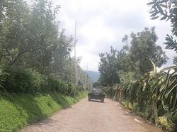 Serunya Menyusuri Agrowisata Batu Naik Buggy