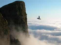 Siap-siap Pusing 7 Keliling Saat Berkunjung ke 3 Tempat Ini