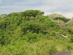 Siapa Sangka, Bali Juga Punya Bukit Teletubbies