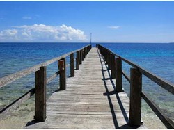 Siapa Sangka, Bali Punya Taman Nasional yang Cantik