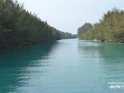 Siapa Sangka, Laut Jakarta Masih Biru