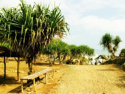 Siapa Sangka, Masih Ada Pantai Cantik dan Sepi di Yogya