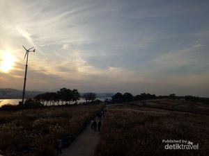 Siapa Sangka, Taman Cantik Ini Dulunya Gunung Sampah