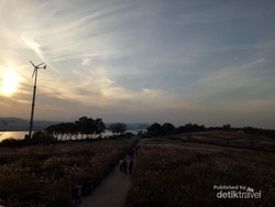 Siapa Sangka, Taman Cantik Ini Dulunya Gunung Sampah