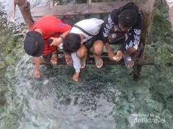 Singgah di Desa Sawinggrai yang Mempesona di Raja Ampat