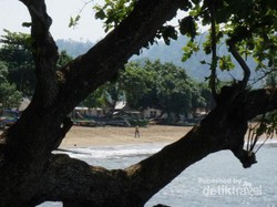Sipelot, Pantai Cantik di Pesisir Jawa Timur