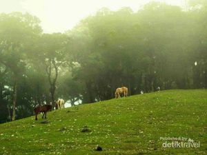 Sisi Lain NTT yang Cantiknya Bak Negeri Dongeng