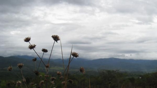 Situs Megalitik di Lembah Bada yang Cantik