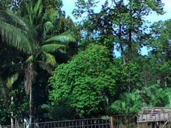 Ssst.. Ada Kembaran Taman Safari di Lampung