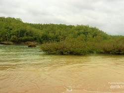 Ssst, Ada Pantai Perawan untuk Berenang di Pacitan