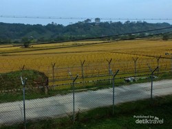 Ssst! Begini Rupa Perbatasan Korea Utara