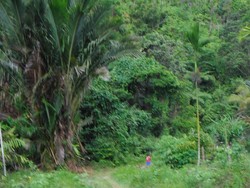 Ssst! Kolam Alami Ini Jadi Tempat Mandi Tentara