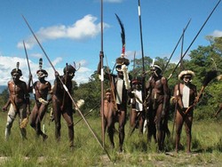 Ssst, Suku Dani di Obia Juga Jago Wirausaha!