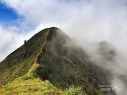 Stop Vandalisme! Yuk Kita Rawat Gunung Andong