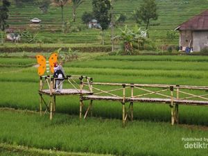 Sudah Pernah ke Desa Bantarkaret di Kabupaten Bogor?