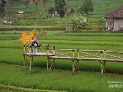 Sudah Pernah ke Desa Bantarkaret di Kabupaten Bogor?