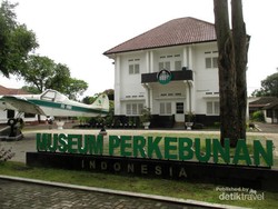 Sudah Tahu? Ada Museum Perkebunan di Medan