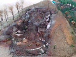 Sudah Tahu? Ada Museum Tanah di Bogor