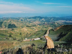 Sudah Tahu? Bukit Super Cantik Ini Ada di Majalengka