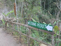 Sudah Tahu, Kulonprogo Punya Air Terjun Seindah Ini!