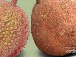 Sudah Tahu, Lombok Memiliki 4 Buah Langka dan Berkhasiat!