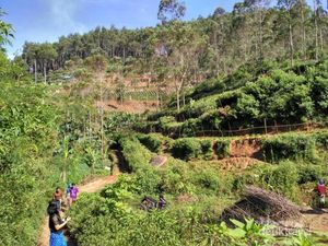 Sukaluyu, Kampung Berkebun di Atap Bandung