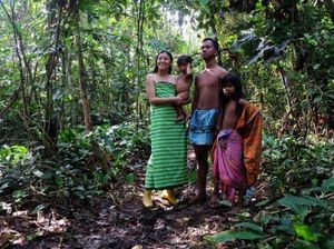 Suku Anak Dalam, Sang Penjaga Rimba