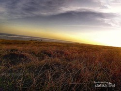 Sumba Rasa Afrika, Bikin Jatuh Cinta