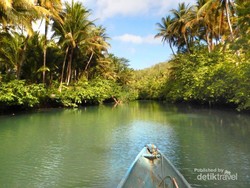 Sungai Maron, Amazon Ala Indonesia