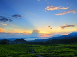 Sunrise di Kaki Tangkuban Perahu Tak Kalah dengan Bromo