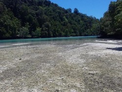 Surga di Labuan Cermin dan Derawan