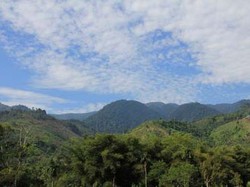 Surganya Pecinta Alam Ada di Taman Nasional Gunung Leuser