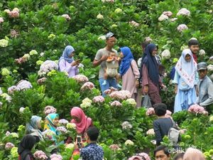 Surganya Pencinta Bunga di Jawa Timur