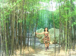 Sydney Rasa China Ada di Sini