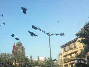 Taj Mahal, Mumbai dan Surganya Bollywood