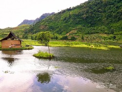 Tak Disangka, Ada Rawa Secantik Ini di Bogor