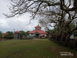 Tak Hanya laut, Daratan Wakatobi Juga Indah