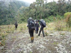 Tak Hanya Pantai, Aceh Juga Punya Gunung Kemiki yang Eksotis
